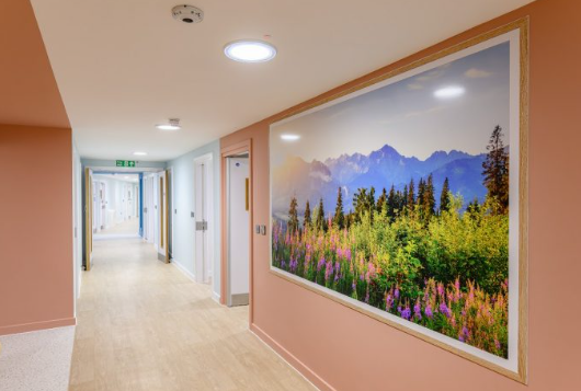 Nursing Home Painting Specialists Creating Calm and Inviting Atmospheres