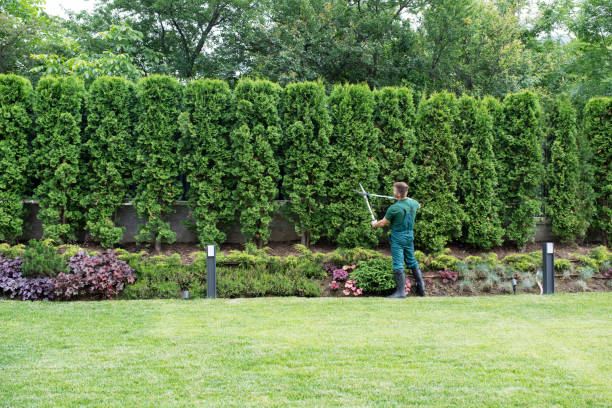 Refresh Your Property With Thoughtful Lawn Landscaping
