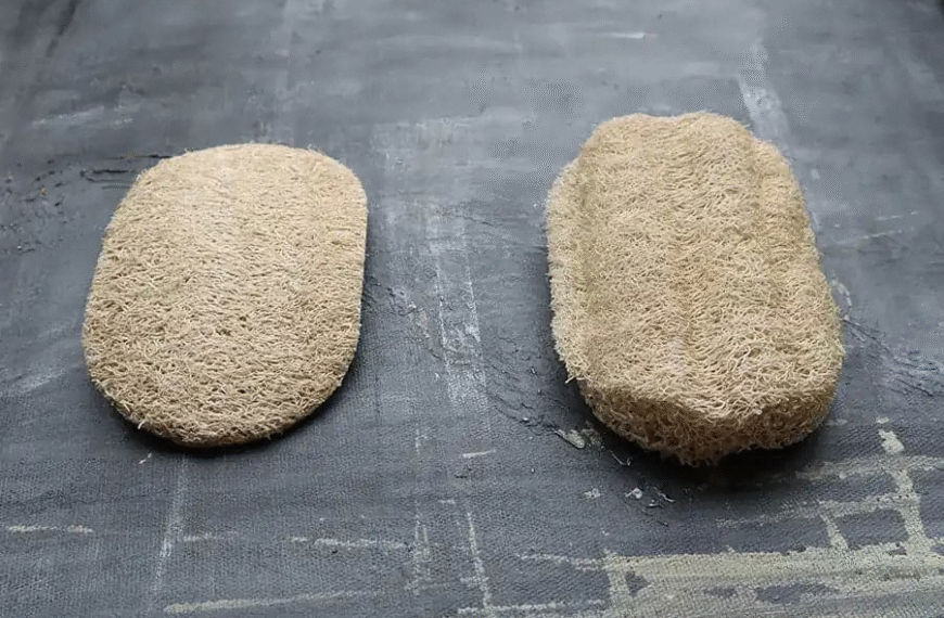 Eco-Friendly Kitchen Sponges: Materials, Cleaning Uses, and Disposal Options